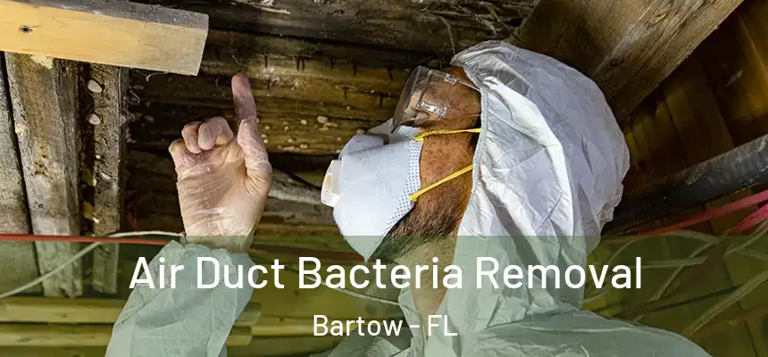 Air Duct Bacteria Removal Bartow - FL