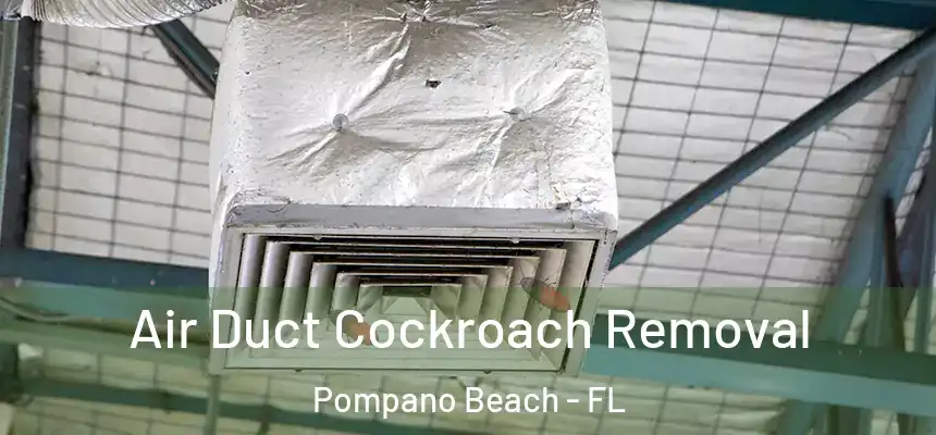 Air Duct Cockroach Removal Pompano Beach - FL