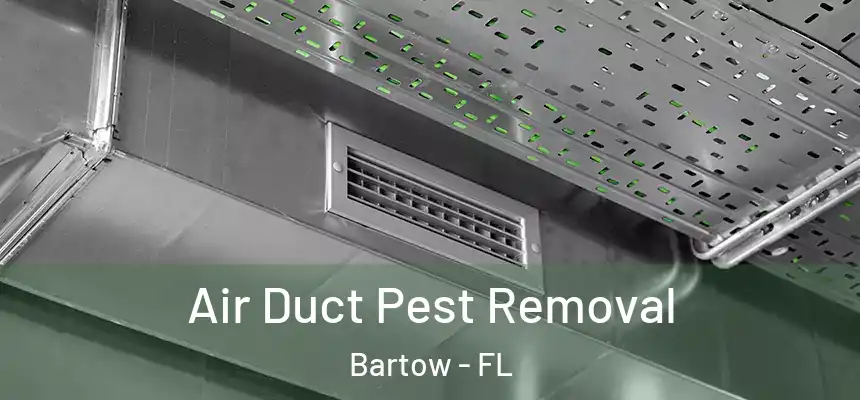 Air Duct Pest Removal Bartow - FL