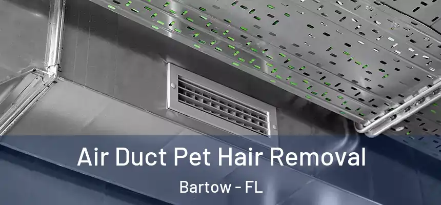 Air Duct Pet Hair Removal Bartow - FL