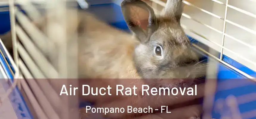 Air Duct Rat Removal Pompano Beach - FL
