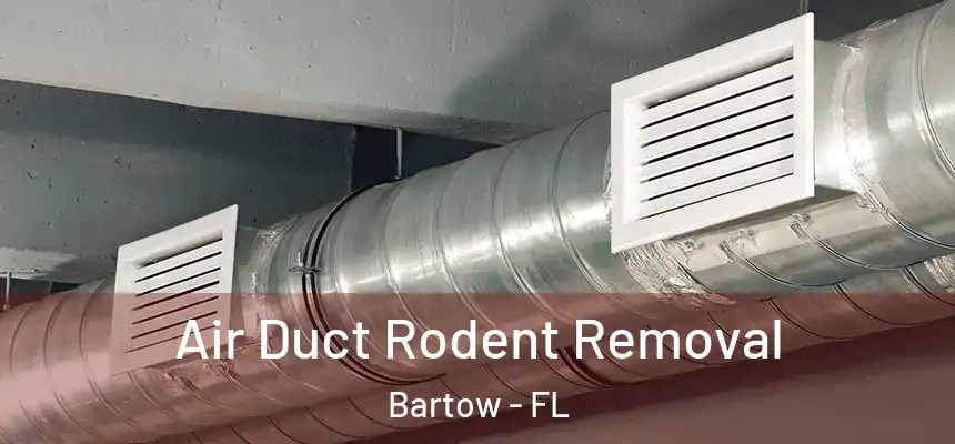 Air Duct Rodent Removal Bartow - FL