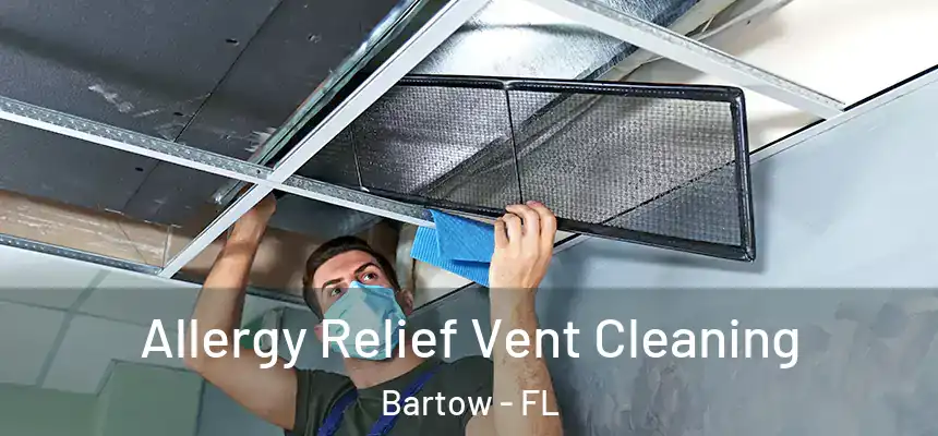 Allergy Relief Vent Cleaning Bartow - FL