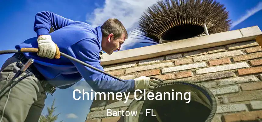 Chimney Cleaning Bartow - FL