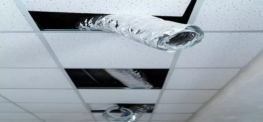 Our Air Duct Pet Hair Removal Services in Pompano Beach, FL