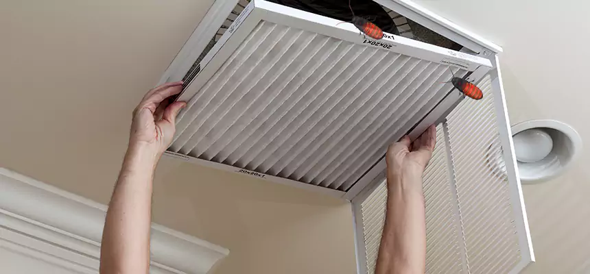 Our Insect Removal from Air Ducts Services in Pompano Beach, FL