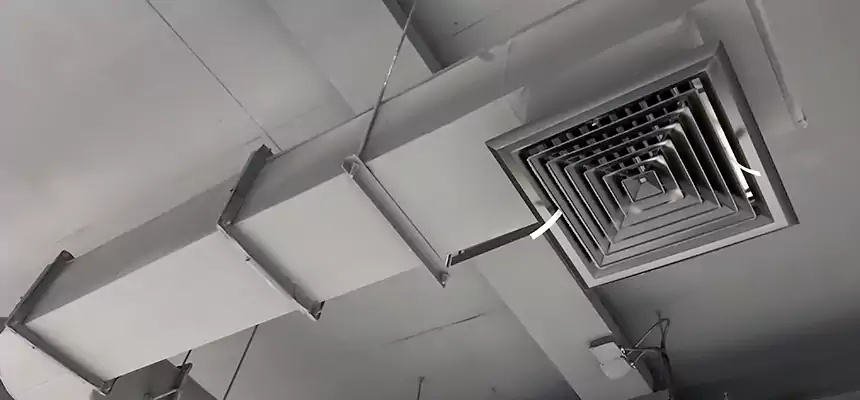 Our Pest Removal From Ducts Services in Pompano Beach, FL