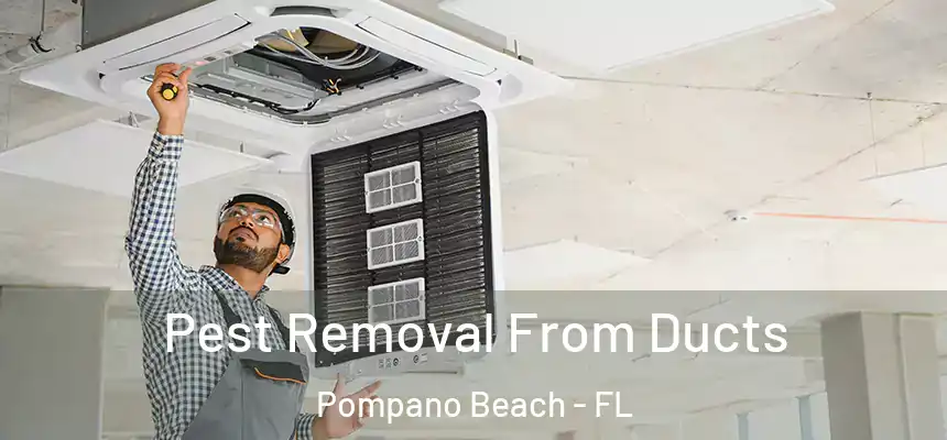 Pest Removal From Ducts Pompano Beach - FL