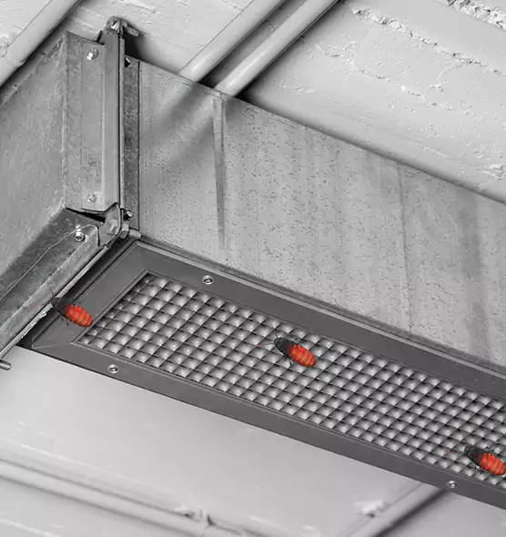 About Air Duct Cockroach Removal in Pompano Beach, FL