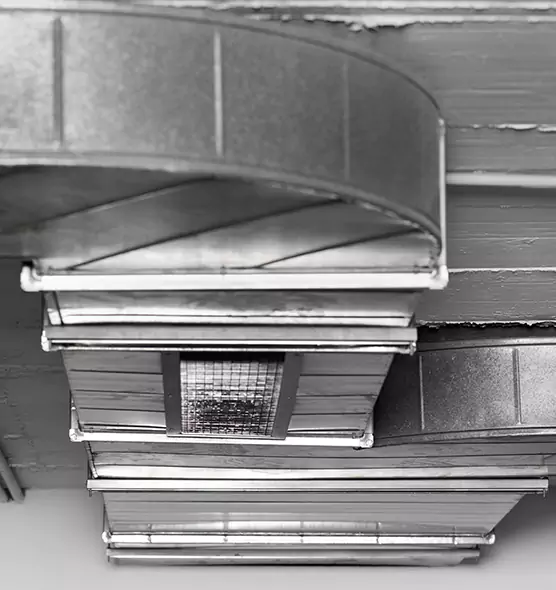 Professional Air Duct Pest Removal in Bartow, FL