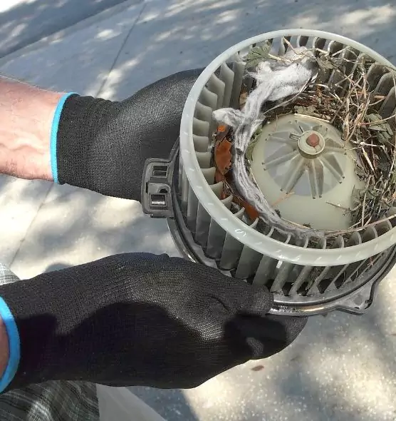 About Air Duct Rat Removal in Bartow, FL