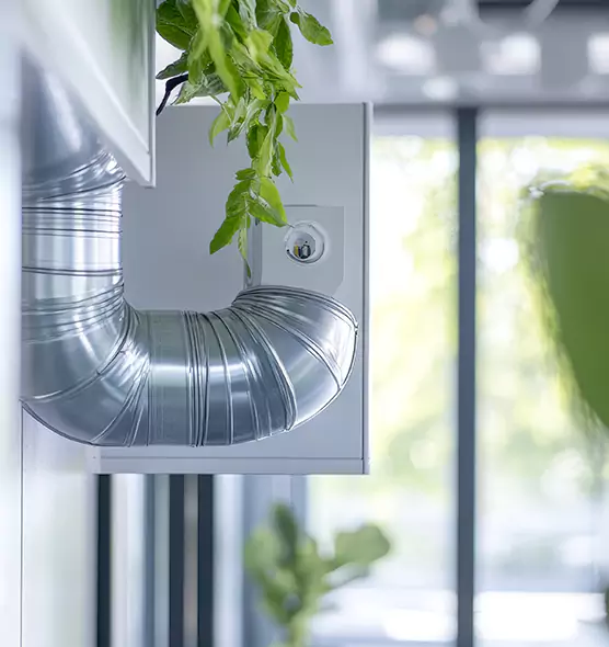 Professional Eco-Safe Dryer Vent Cleaning in Pompano Beach, FL