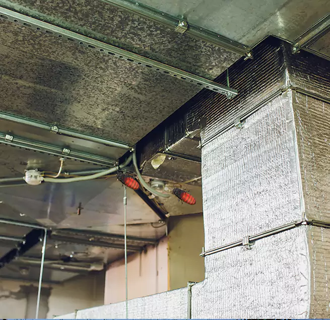 Why Homeowners & Businesses Trust Us in Bartow, FL?