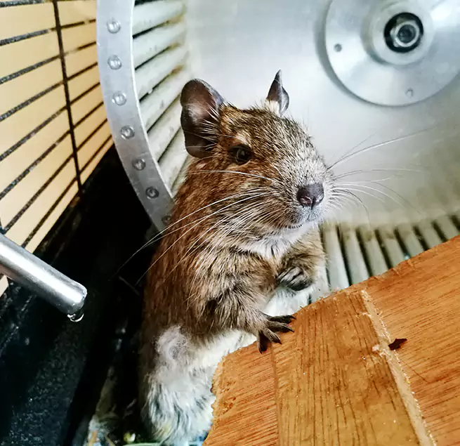 Why Homeowners & Businesses Trust Us Pompano Beach, FL