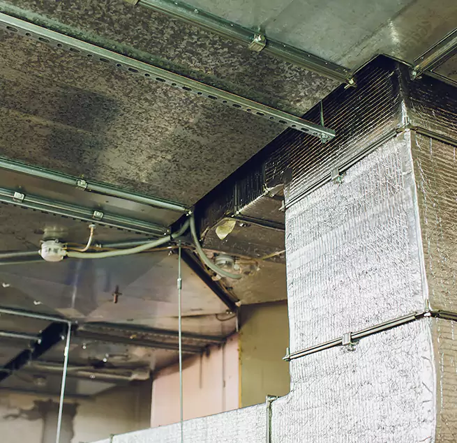 Why Homeowners & Businesses Trust Us in Pompano Beach, FL?